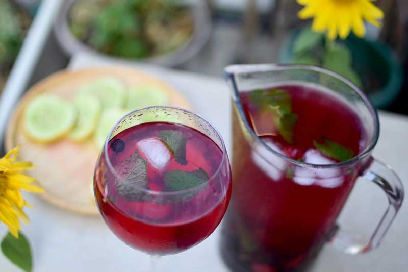 Sangria au thé du Labrador avec betterave & coquelicot