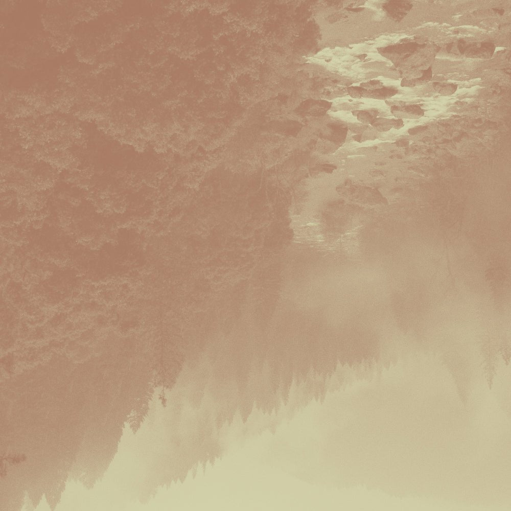 Thé & tisane au goût épicé : infusion réconfortante du Québec - Floèm