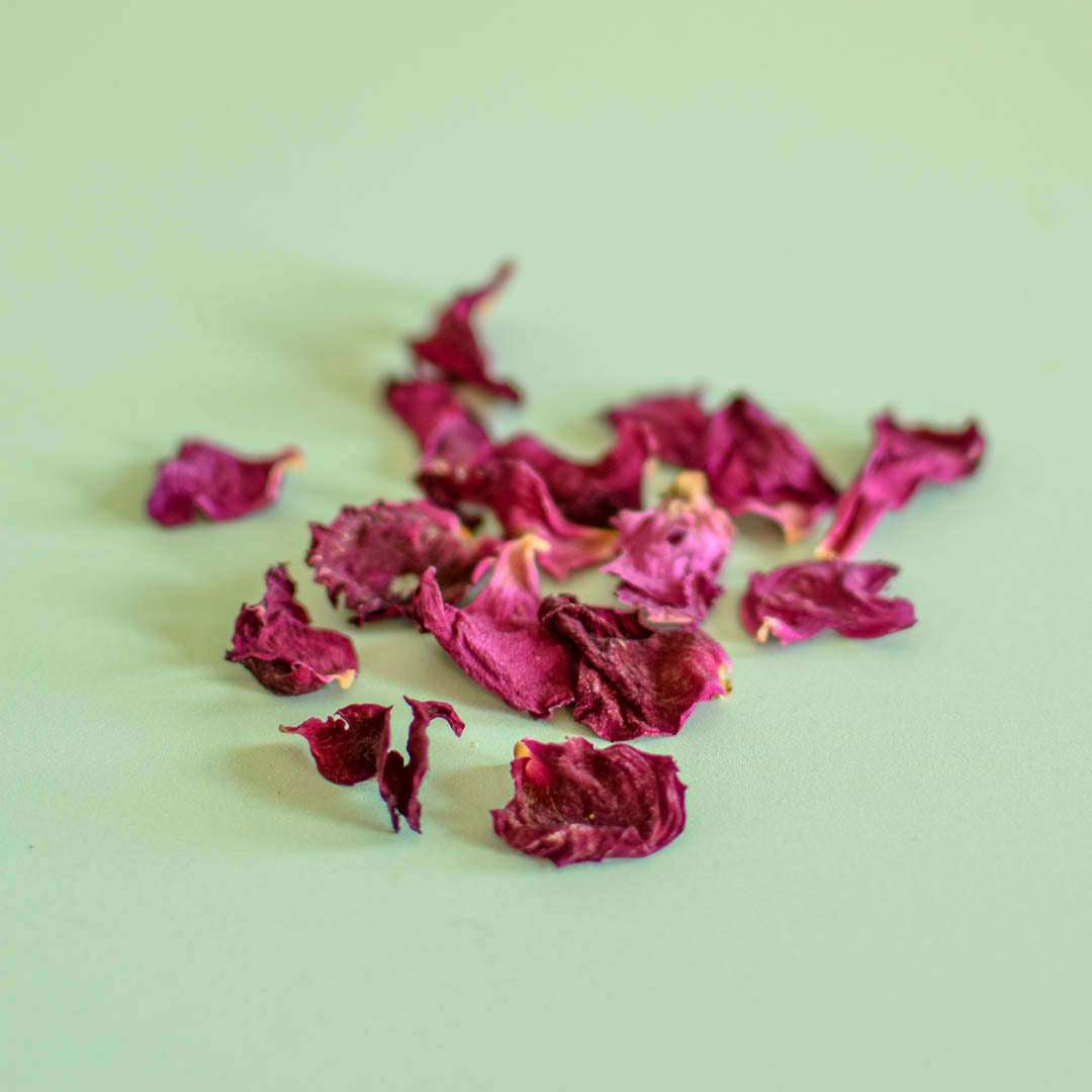 Pétale de rose séché