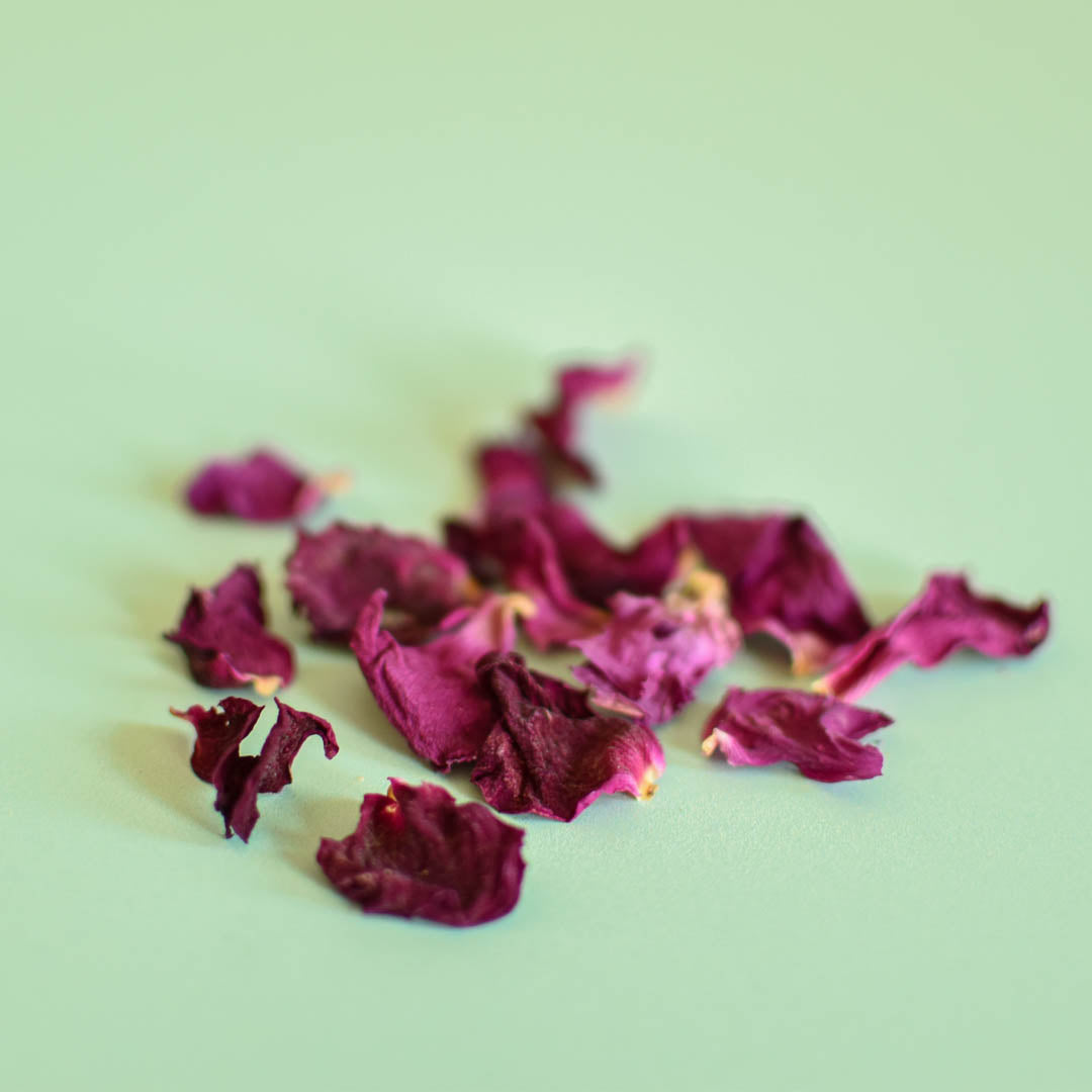 Pétale de rose séché