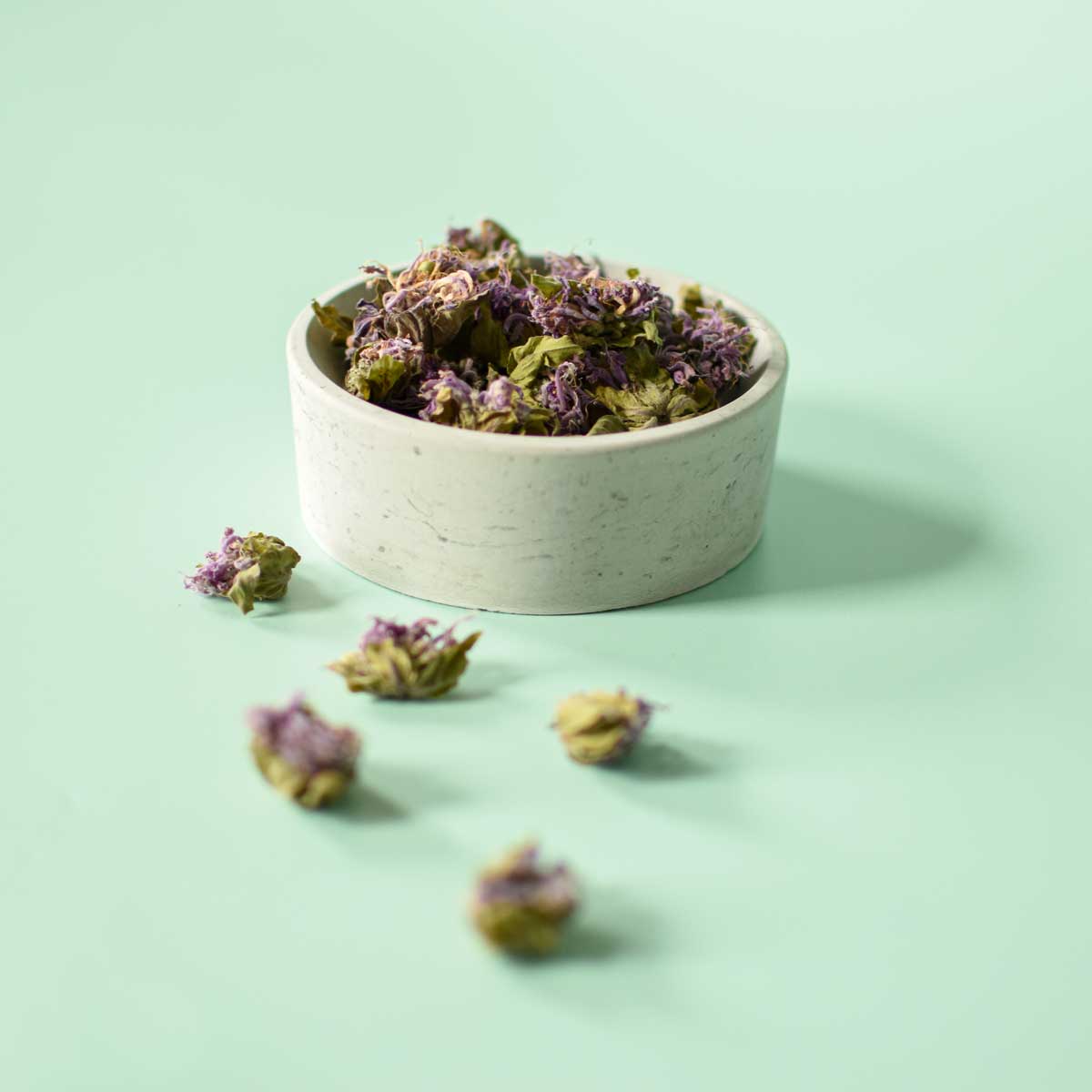 Monarde fistuleuse, fleur - Ingrédients - Floèm
