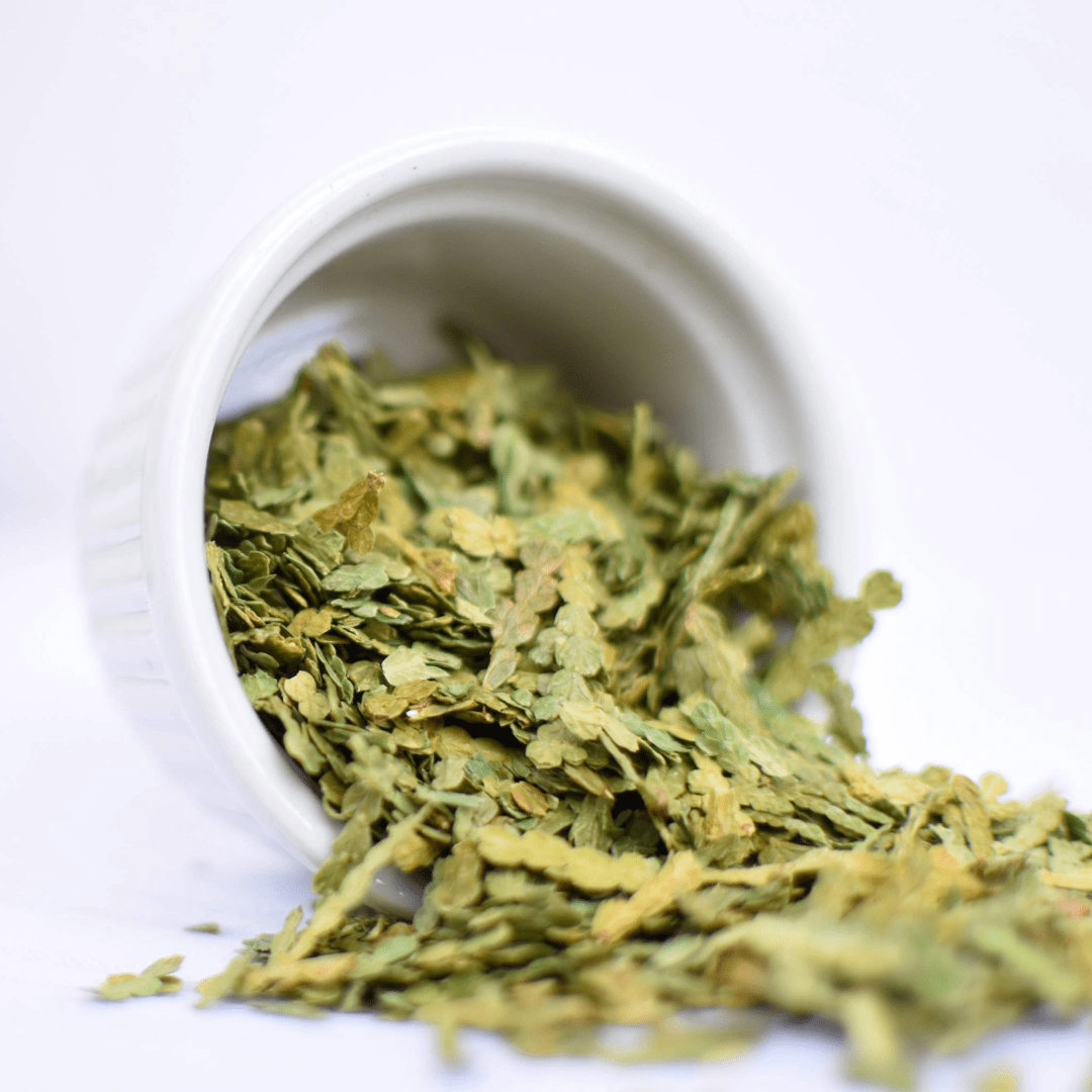 Thuya - Ingrédients - Floèm