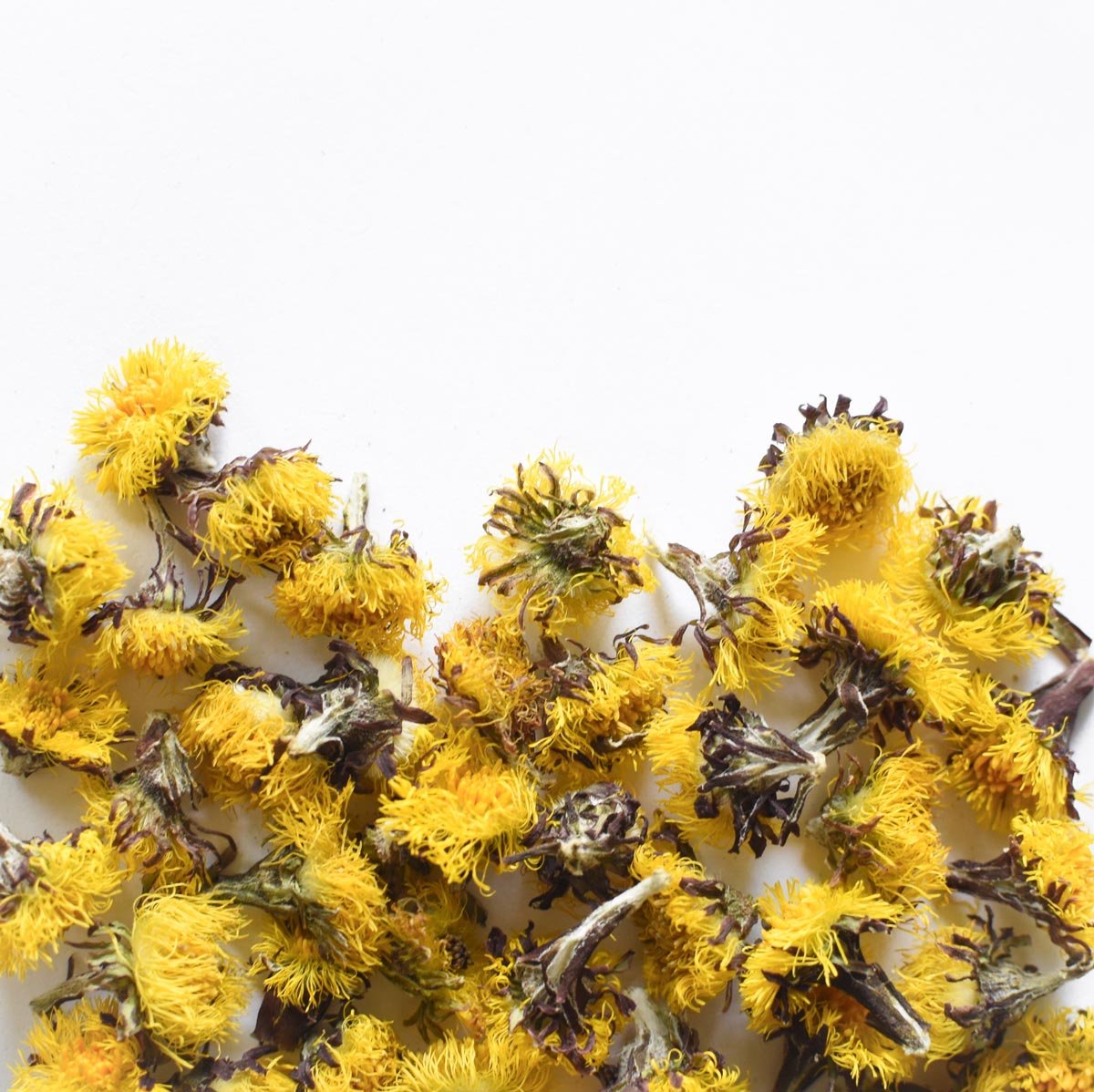 Tussilage, fleur - Ingrédients - Floèm