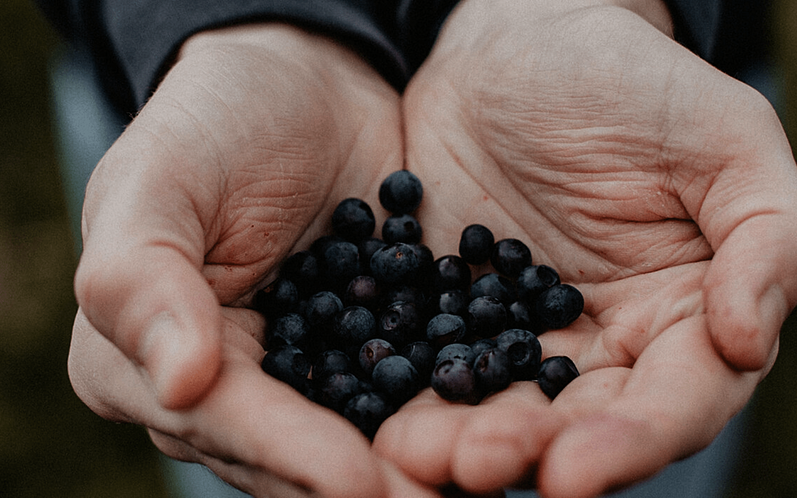 Cueillette responsable : nos engagements pour la préservation de la biodiversité - Floèm