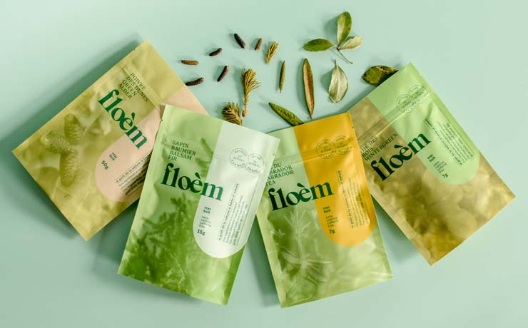 Northern Tea: Boreal Flavors