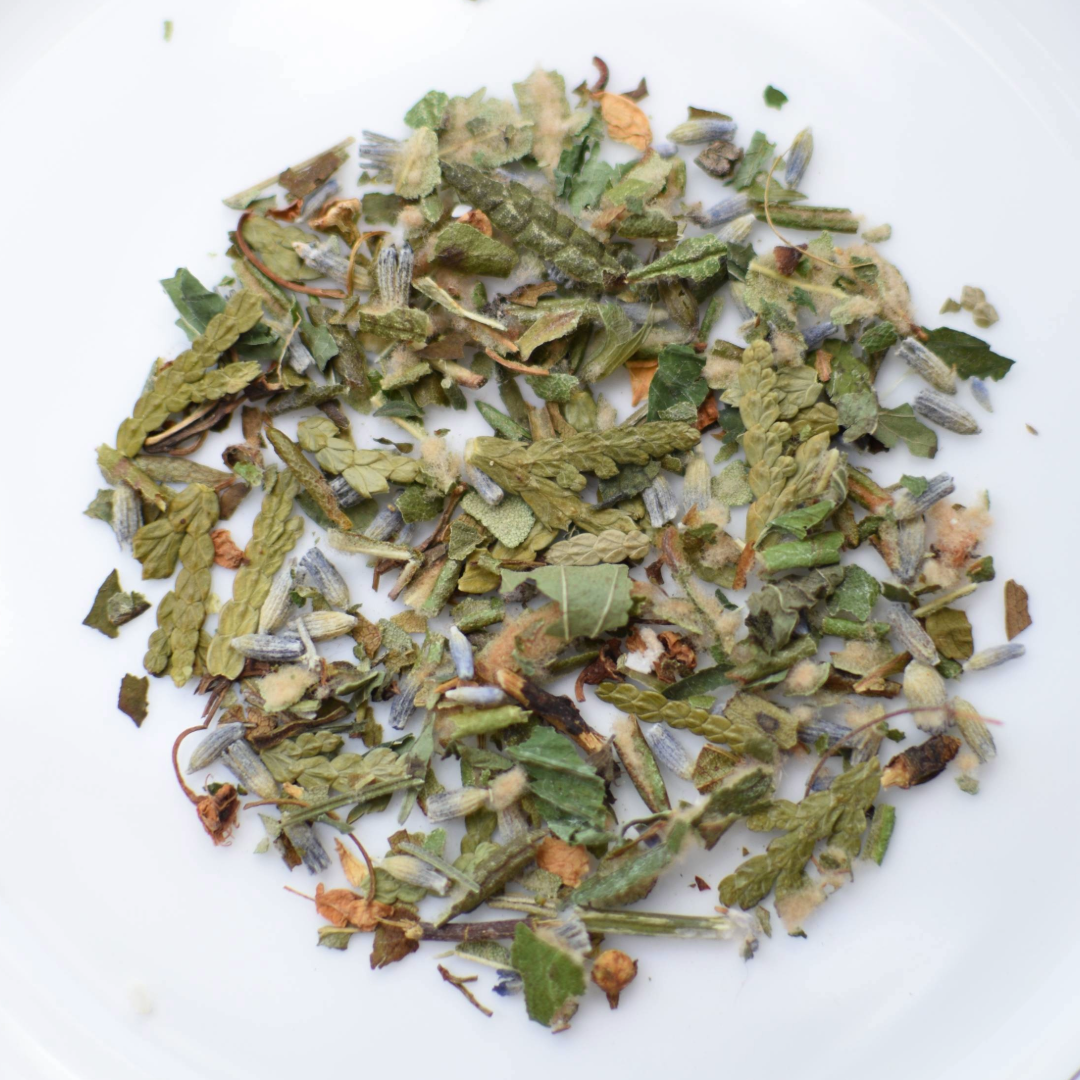 Tisane en vrac - Thuya, Lavande, menthe feuille du Labrador