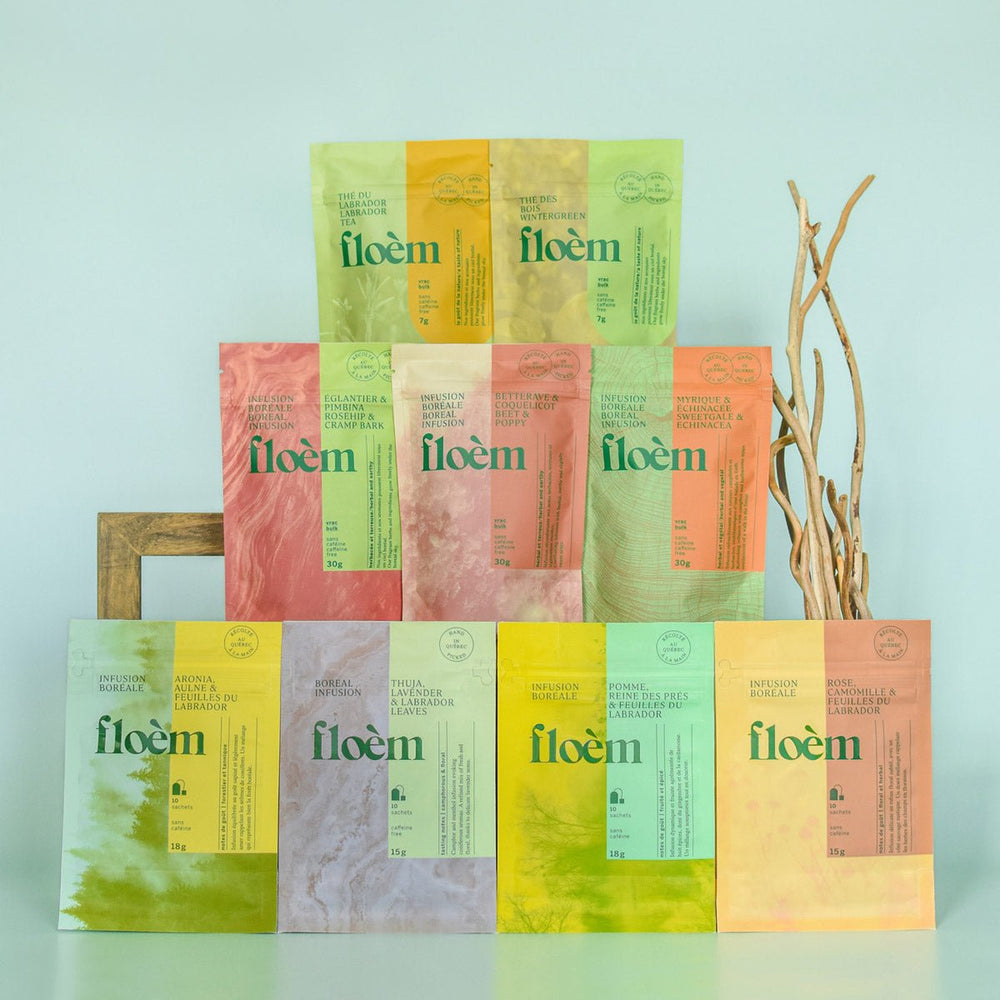 Floem Tea Floèm – Unique herbal teas from the Boreal and Northern Flora of Canada