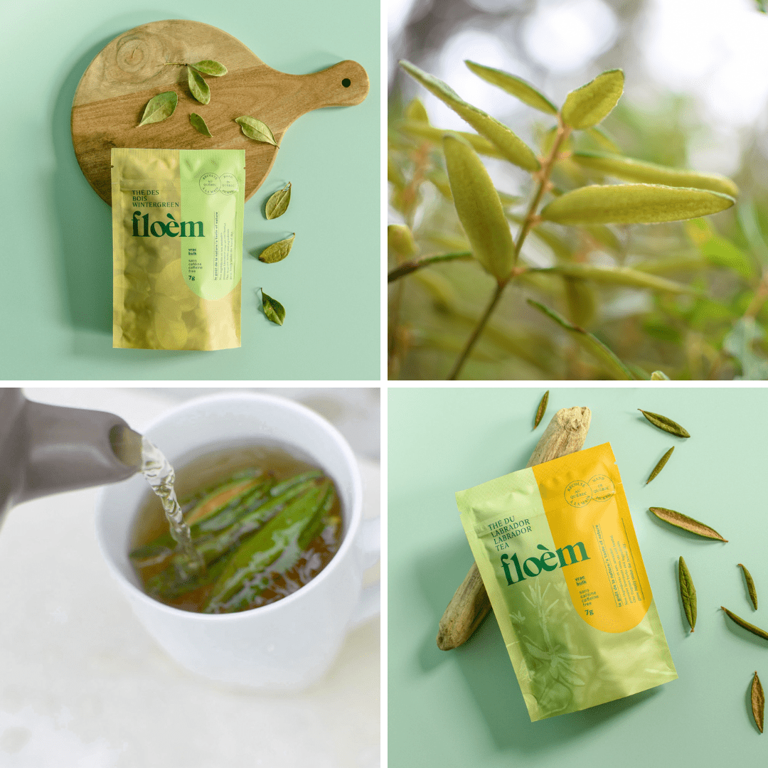 Ensemble de tisane - Ensemble complet, pack de variétés - Tisane - Floèm