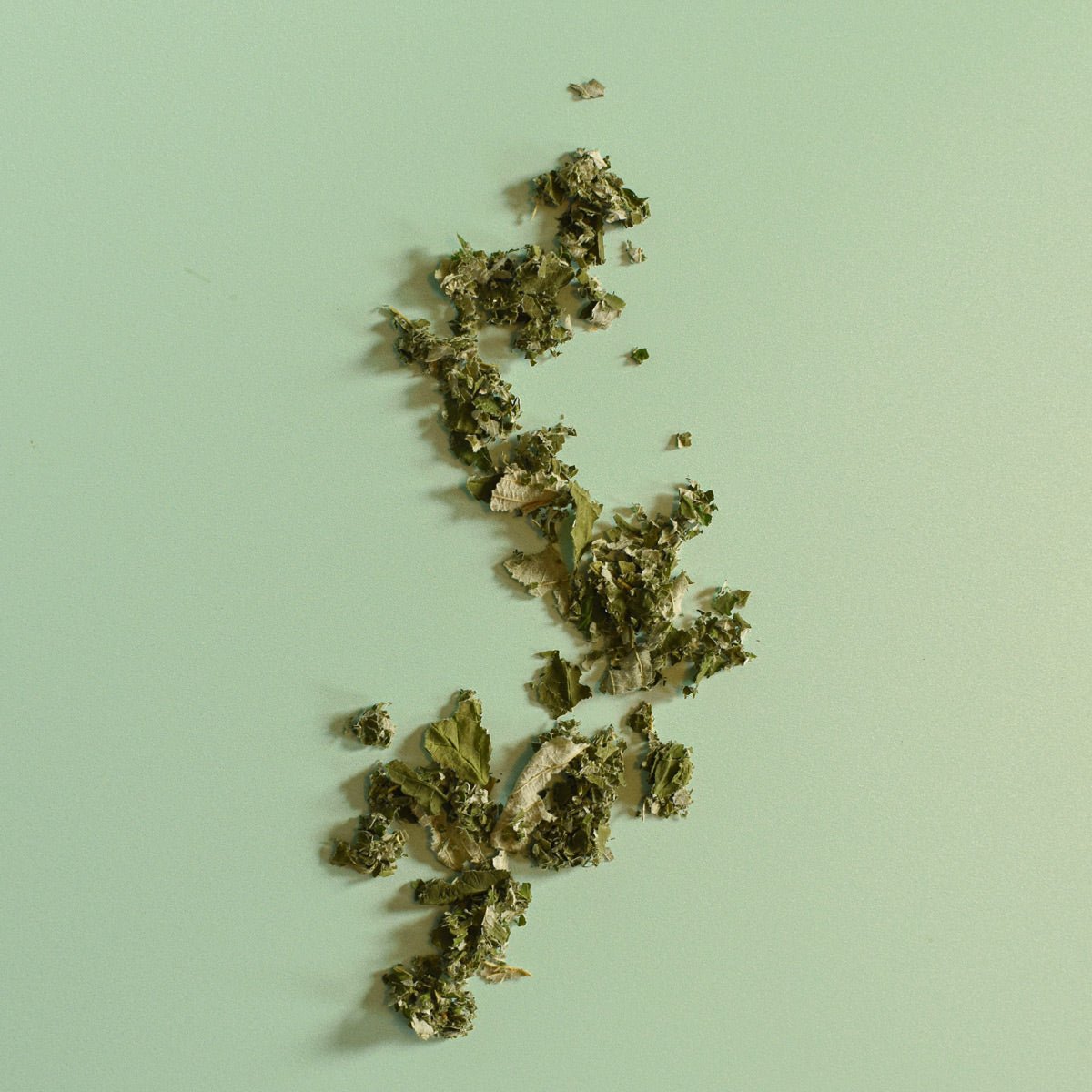 Framboisier, feuille - Ingrédients - Floèm