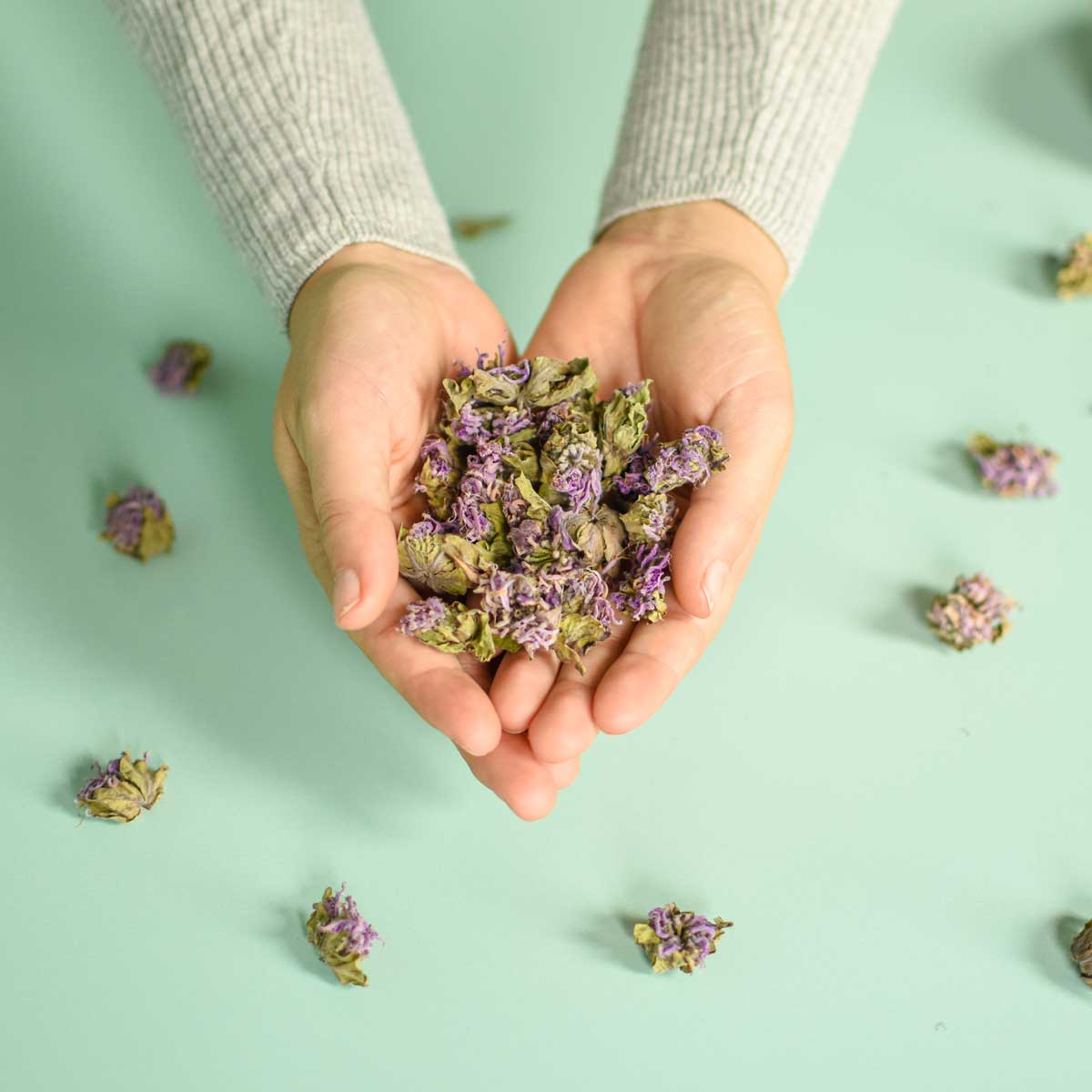 Monarde fistuleuse, fleur - Ingrédients - Floèm