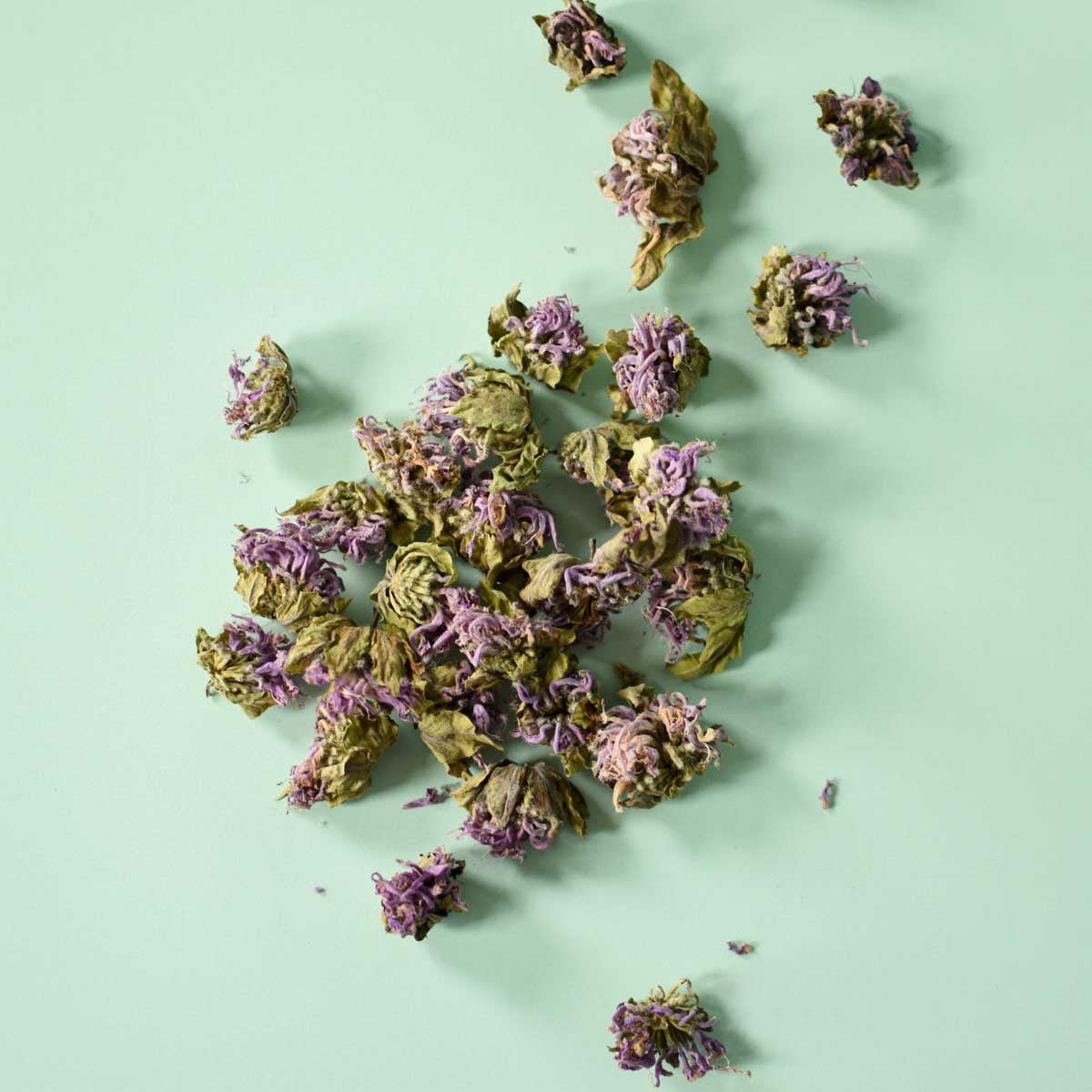 Monarde fistuleuse, fleur - Ingrédients - Floèm