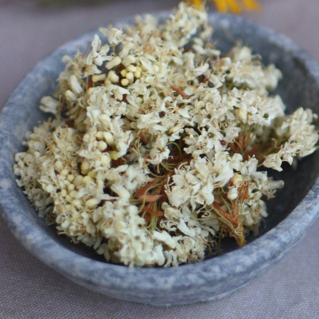 Labrador Tea Flowers And Leaves